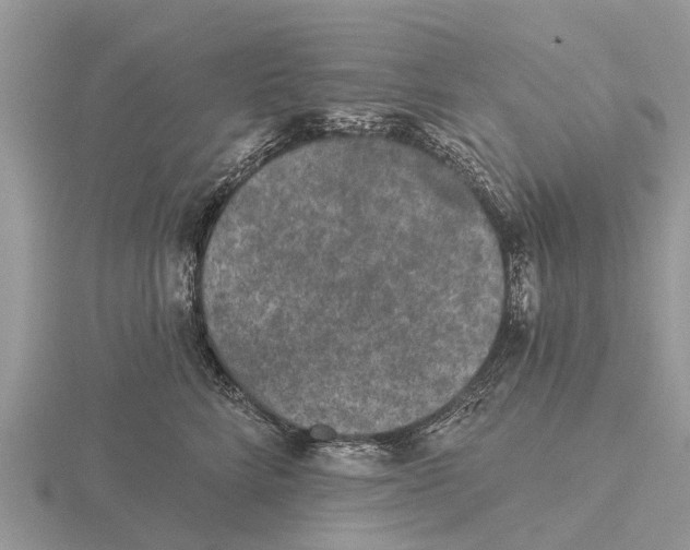 X0000115670712200912101112