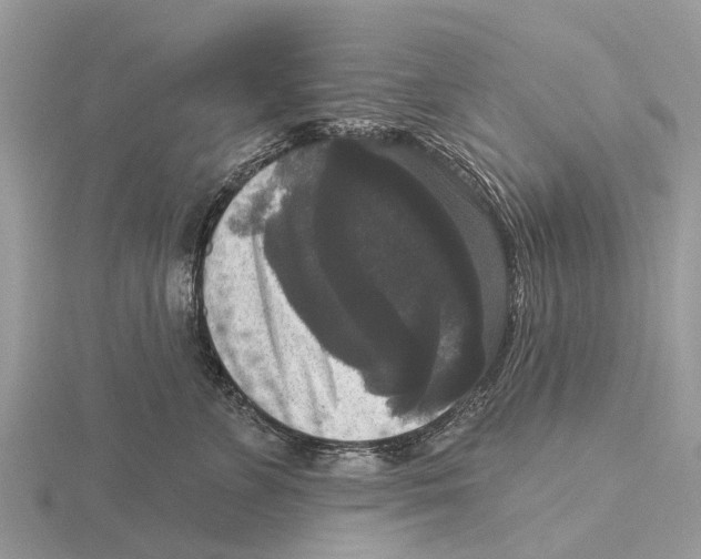 X0000115670715200912101112