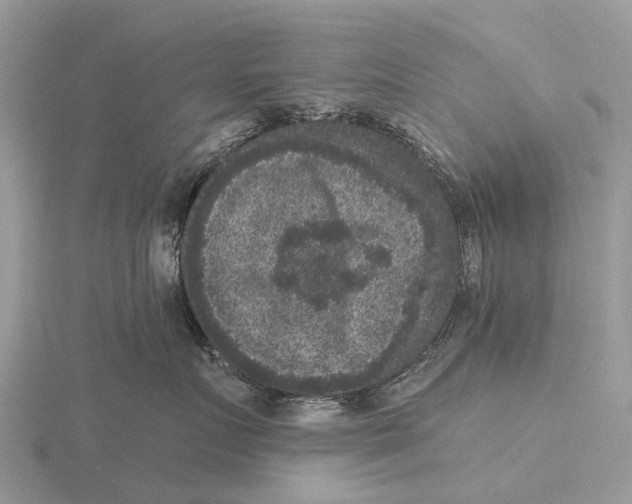 X0000115670719200912101112