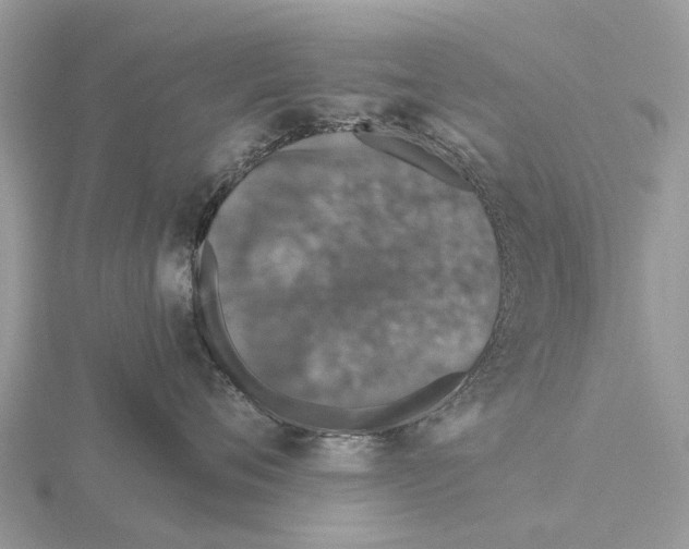 X0000115670720200912101112