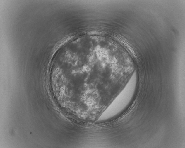 X0000115670721200912101111