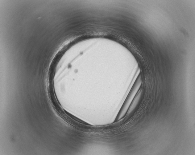 X0000115670726200912101111