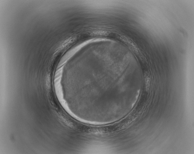 X0000115670729200912101111