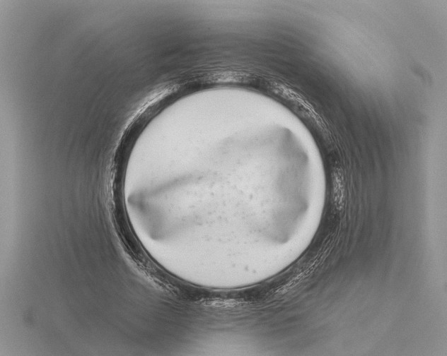 X0000115670730200912101111