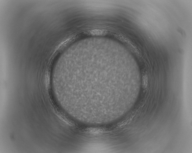 X0000115670733200912101111