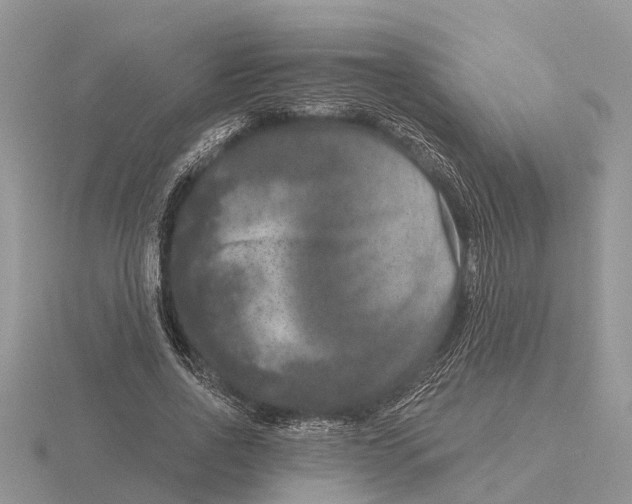 X0000115670734200912101111