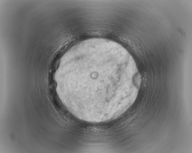 X0000115670739200912101111