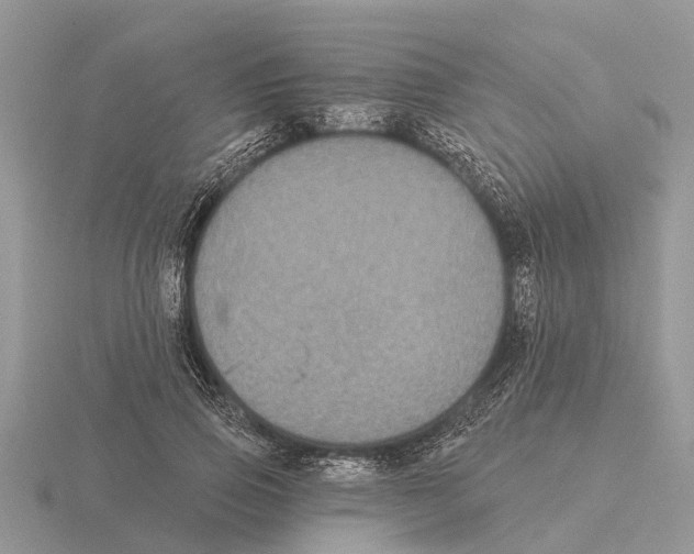 X0000115670741200912101111