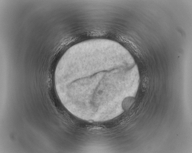 X0000115670743200912101111