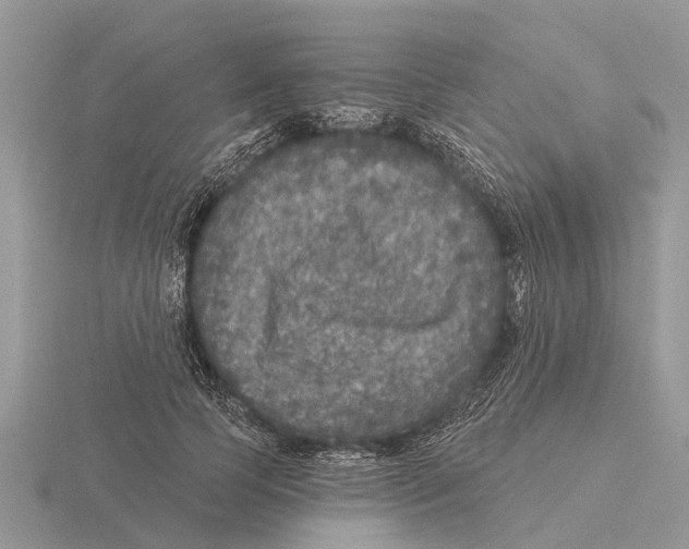 X0000115670745200912101112