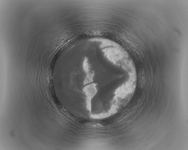 X0000115670747200912101112