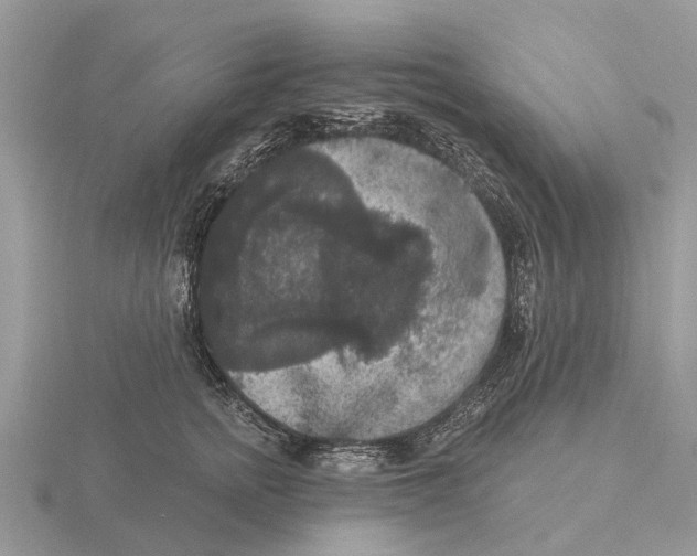 X0000115670758200912101112