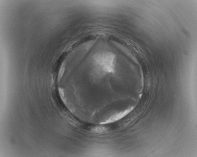 X0000115670759200912101112