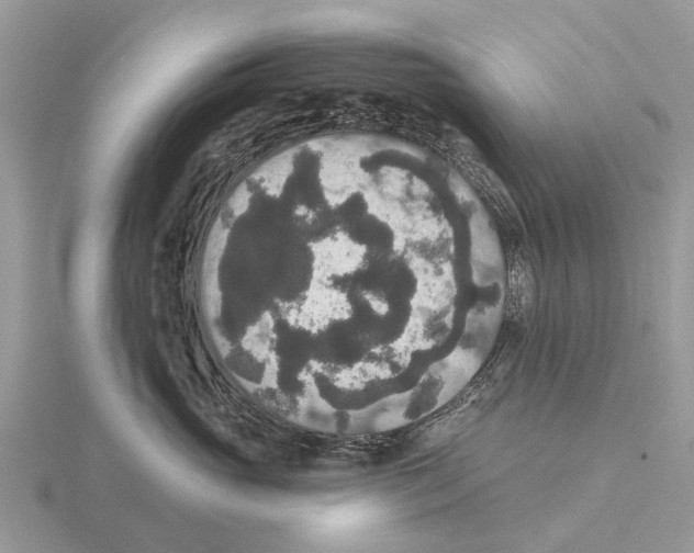 X0000115670765200912101112