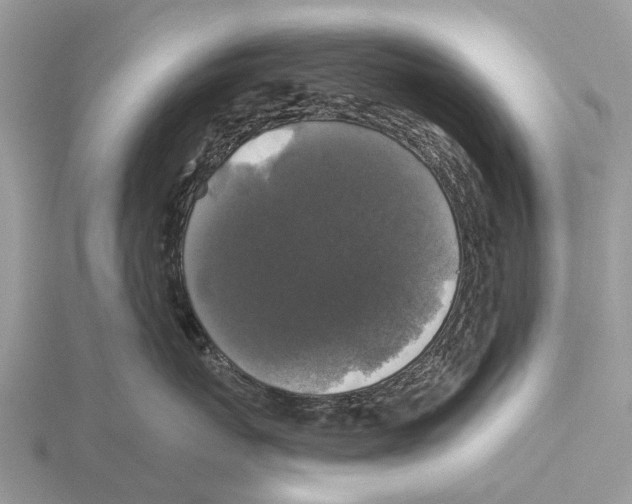 X0000115670767200912101112