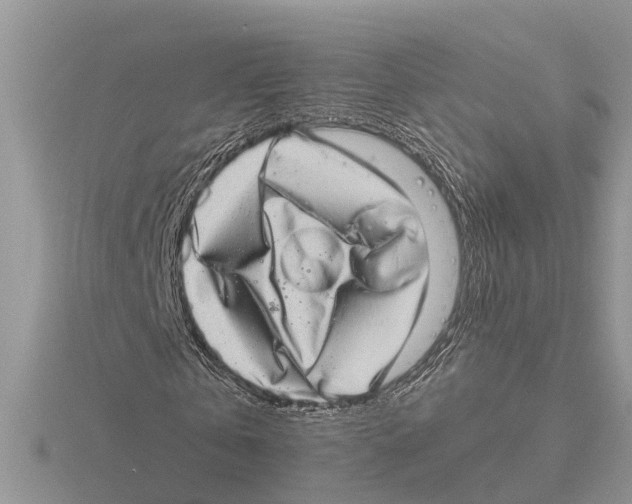 X0000115670769200912101111