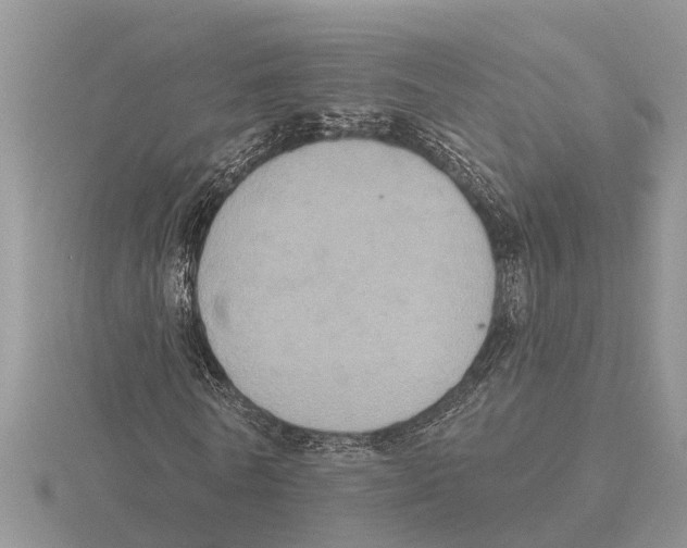 X0000115670770200912101111