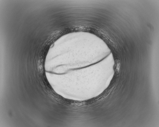 X0000115670771200912101111