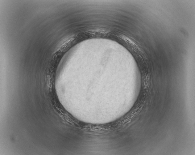 X0000115670774200912101111