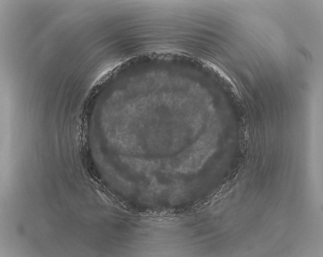 X0000115670775200912101111