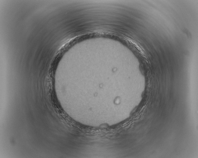 X0000115670776200912101111