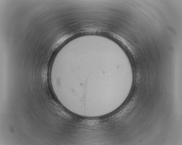 X0000115670778200912101111