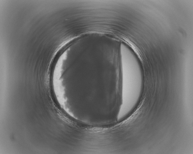 X0000115670779200912101111