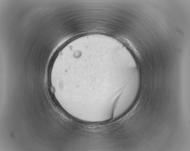 X0000115670780200912101111