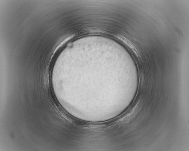 X0000115670782200912101111