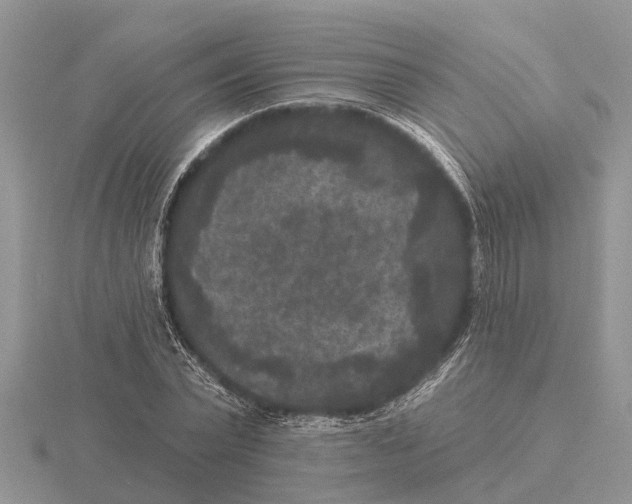 X0000115670783200912101111