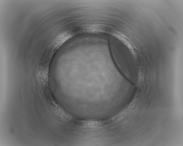 X0000115670785200912101111