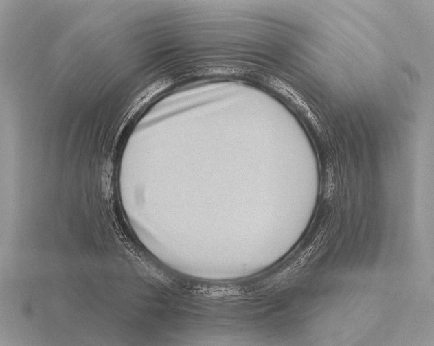 X0000115670786200912101111