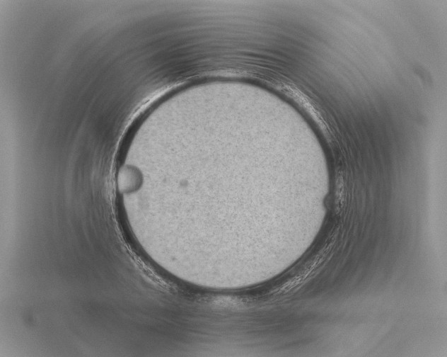 X0000115670787200912101111