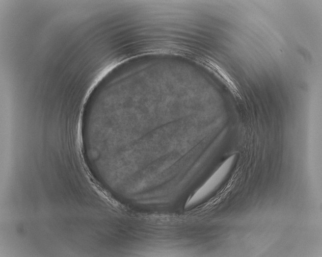 X0000115670788200912101111