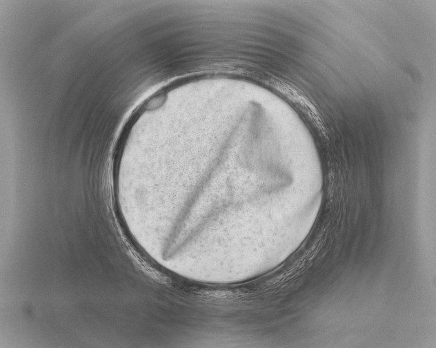 X0000115670792200912101111