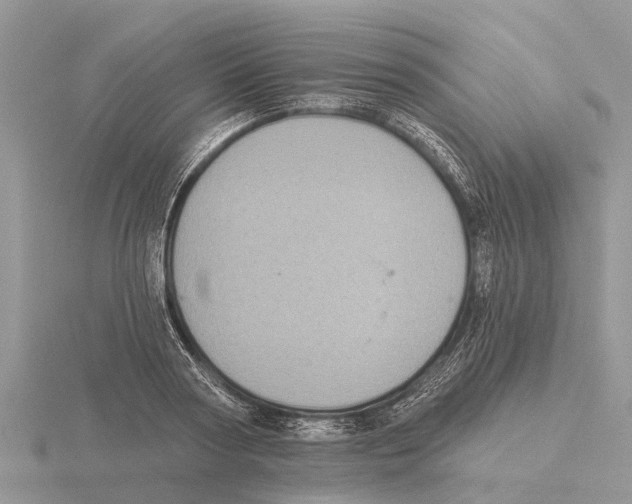 X0000115670794200912101111