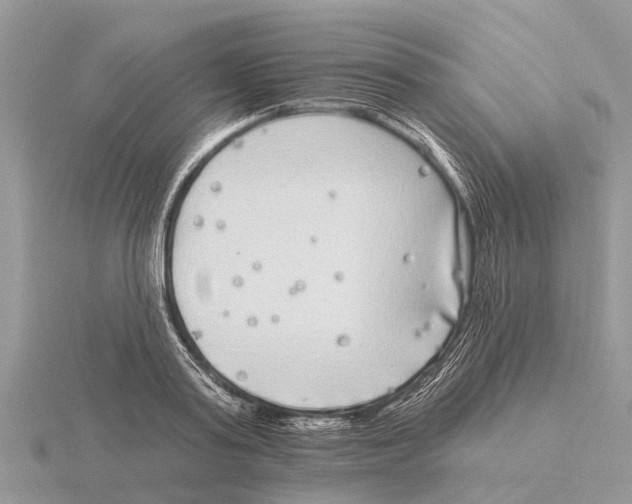 X0000115670795200912101111