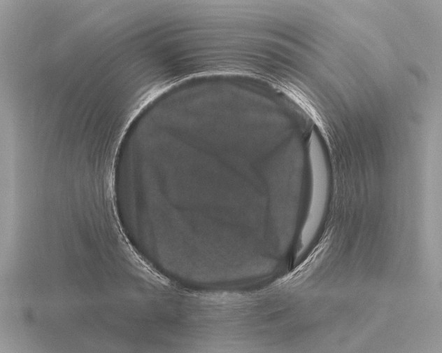 X0000115670797200912101111