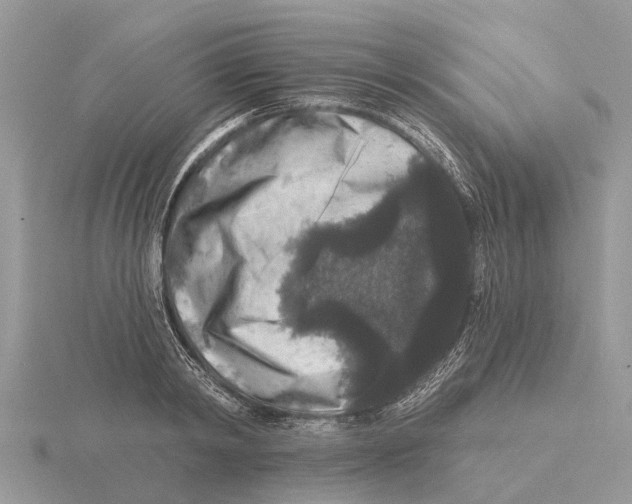 X0000115670798200912101111