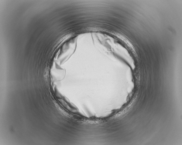 X0000115670801200912101111