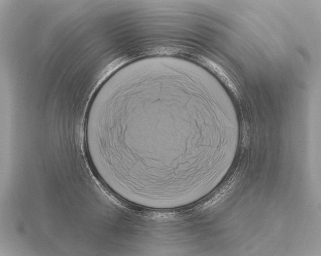 X0000115670802200912101111