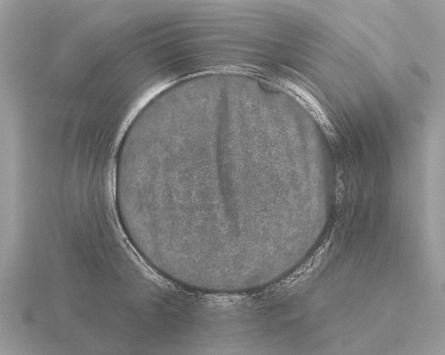 X0000115670804200912101111