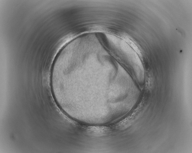 X0000115670805200912101111