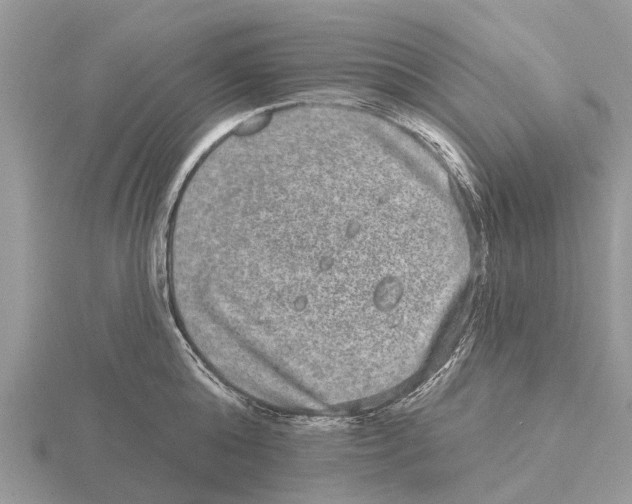 X0000115670808200912101111