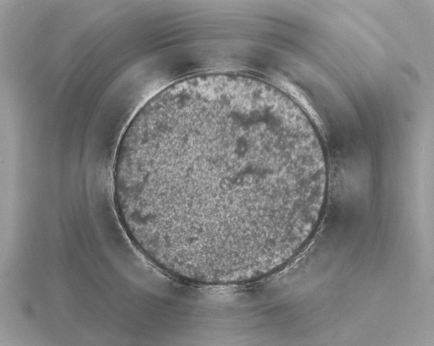 X0000115670810200912101111