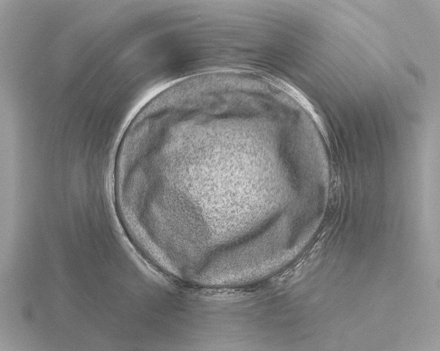 X0000115670811200912101111