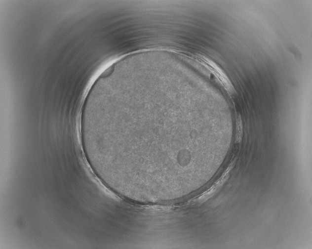 X0000115670812200912101111