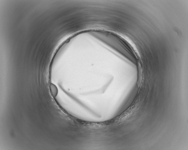 X0000115670815200912101111