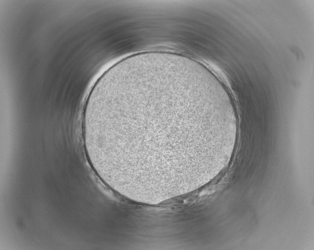 X0000115670816200912101111