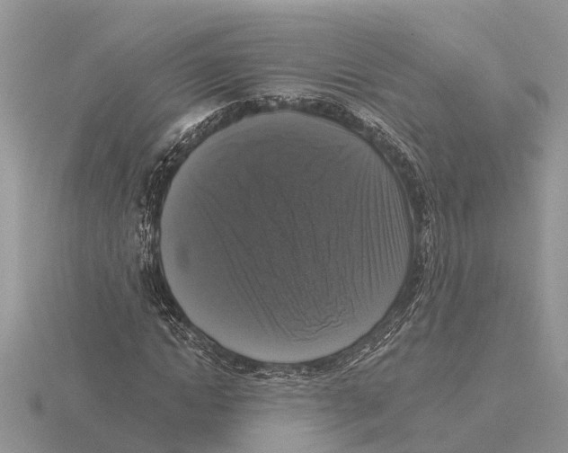 X0000115670822200912101110